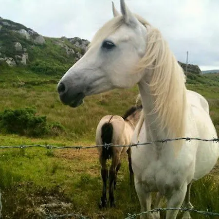 House Boutique - Fishermans Perch Διαμέρισμα *