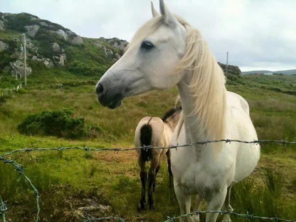 House Boutique - Fishermans Perch Apartamento *